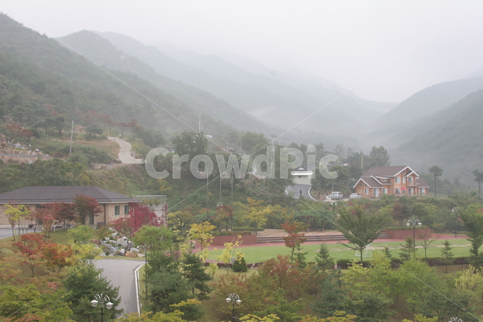 운무,안개,가을,단풍,자연,옥외,outdoors,nature,자연,풍경,nature,landscape