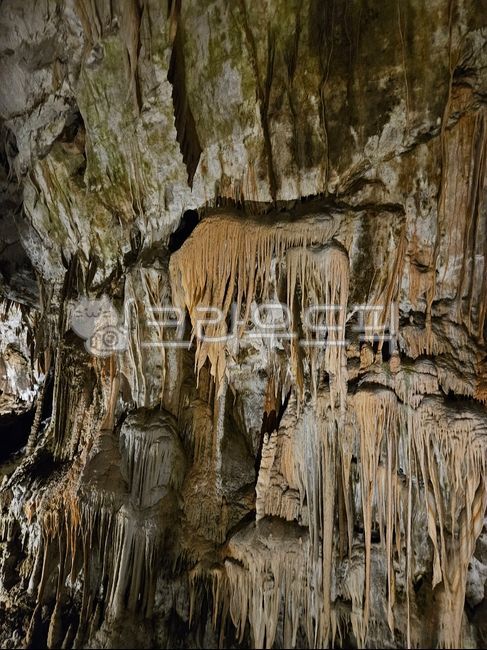 cave,동굴,포스토이나,석회동굴,야마동굴,postoija,슬로베니아,포스토이나동굴,석회,카르스트지형,카르스트,nature,자연,야마,발칸,발칸반도,유럽