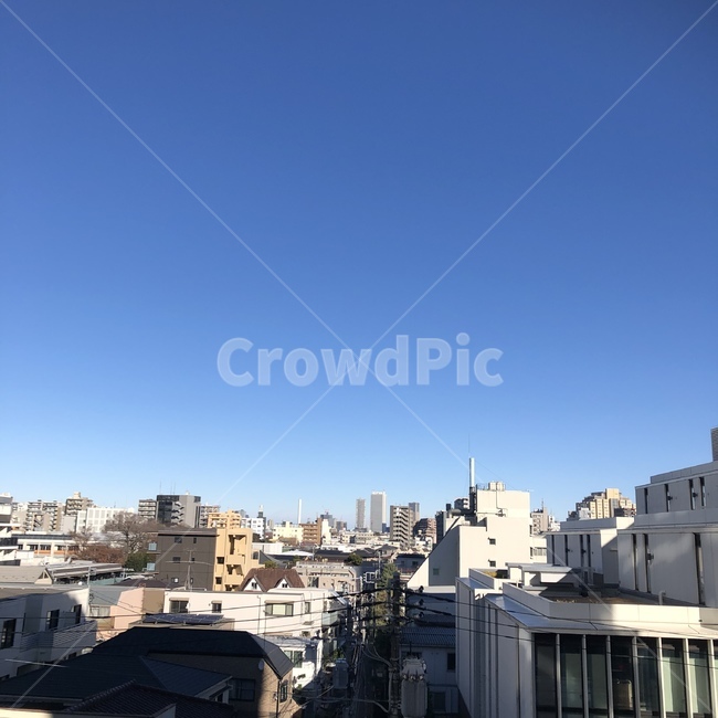 일본,도쿄,아침,건물,하늘