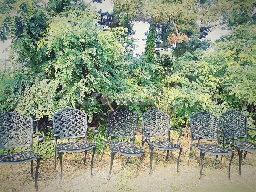 의자,나란히,쉼,휴식,나무