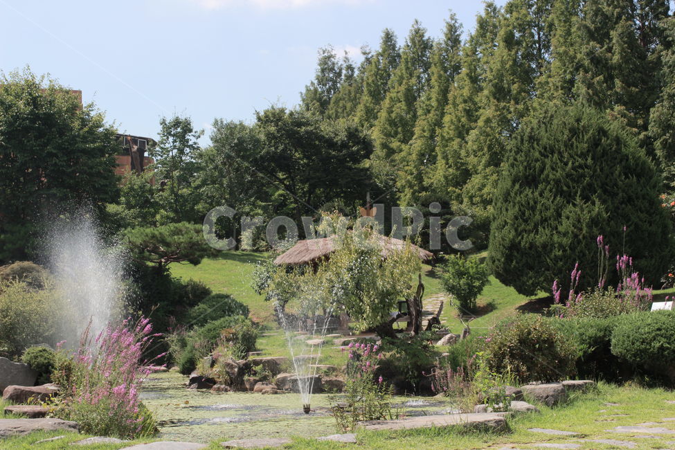 정원,호수,야외,꽃,나무,숲,풀,water,flower,forest,grass,식물