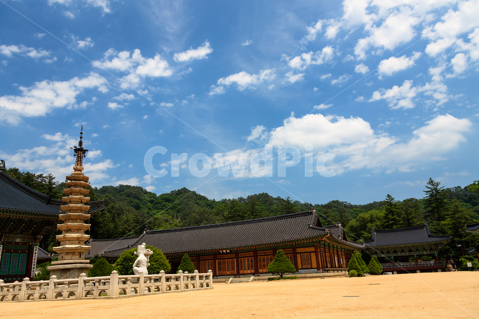 월정사,불교,절,오대산,종교,하늘,한국전통,한국문화,korean traditional,korean culture,조각상,동상,석상,조형물,statue,bronze statue,stone statue