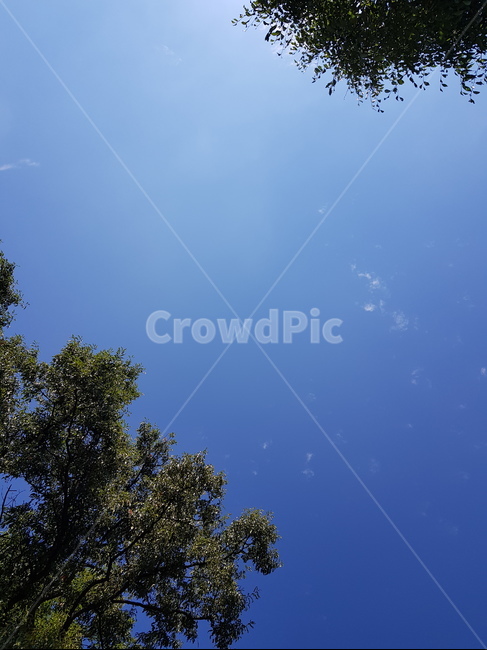 하늘,sky,노을,붉은하늘,붉은노을,강남거리,먹구름,날씨,풍경,맑은하늘,하늘사진,푸른하늘