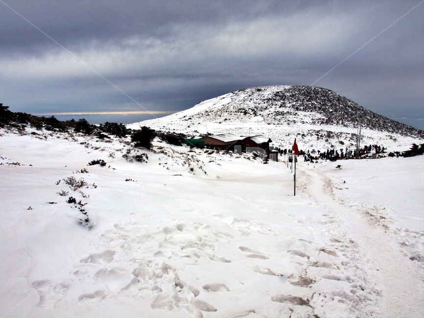 어리목,제주도,한라산,설경,겨울,설화,겨울산,눈,탐방로,등산로,겨울,계절,winter,season,자연,풍경,nature,landscape,outdoors,옥외,mountain,산