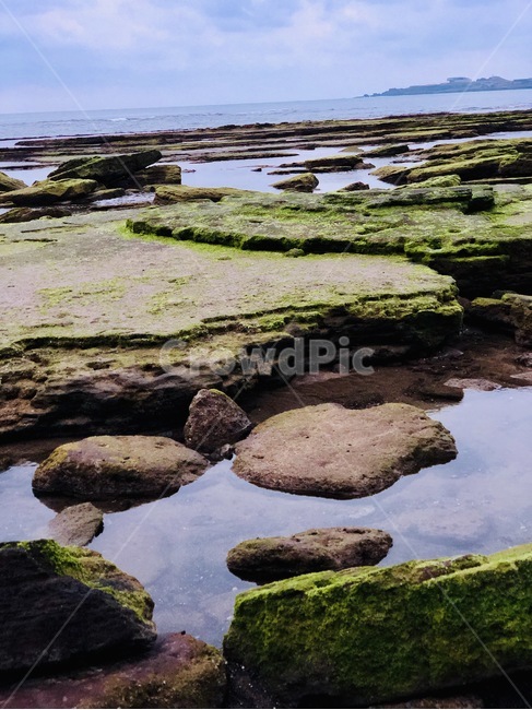 성산일출봉,해변,구름,하늘,바다,제주도,제주,서귀포,이끼,아침,자연,풍경,nature,landscape,한국자연풍경,한국자연경관,korea nature landscape,제주도,jeju,jeju island,plant,식물,algae,조류