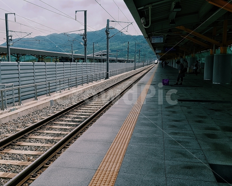 꽃,감성사진,도시풍경,사물,교통,여름,색감,일상,교통,교통수단,traffic,transportation,train station,기차역,vehicle,차량,train,기차