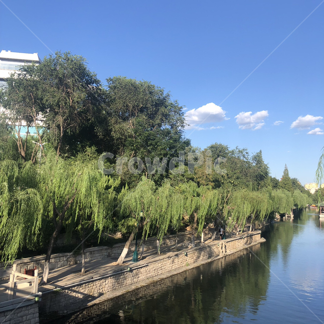 중국,나무,푸른,파란,파란하늘,구름,sky,blue,china,제남,지난,풍경,호수,강,휴식,힐링,산동성,외국,자연,풍경,nature,landscape,outdoors,옥외