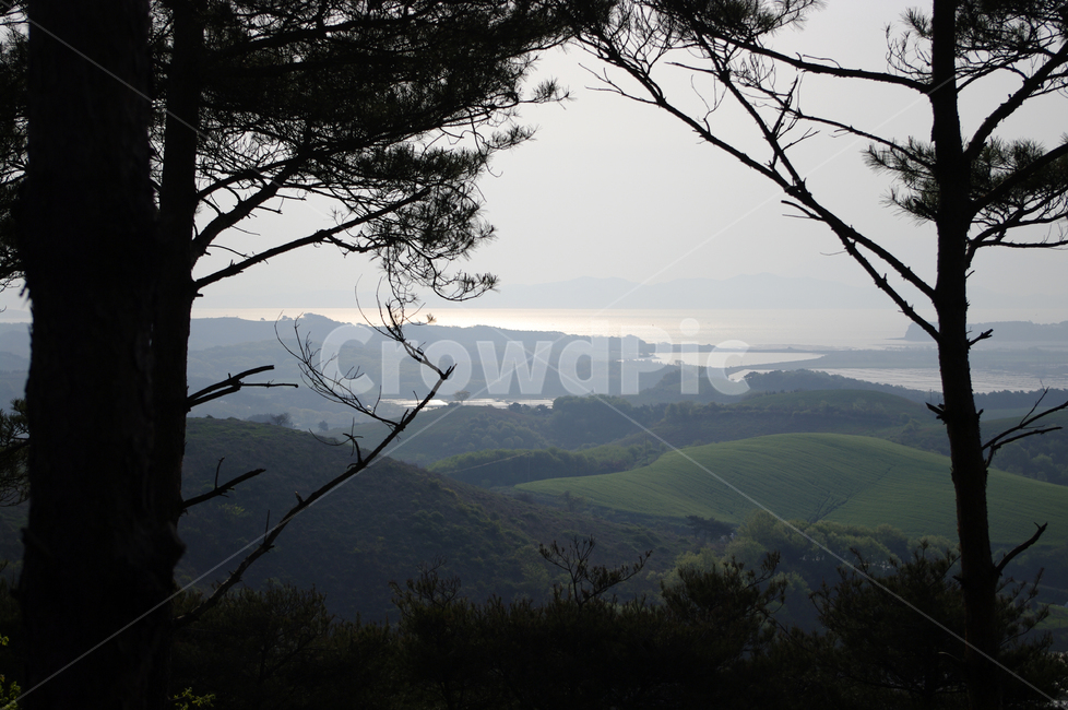 바다,풍경,나무,산,소나무,자연,풍경,nature,landscape,outdoors,옥외