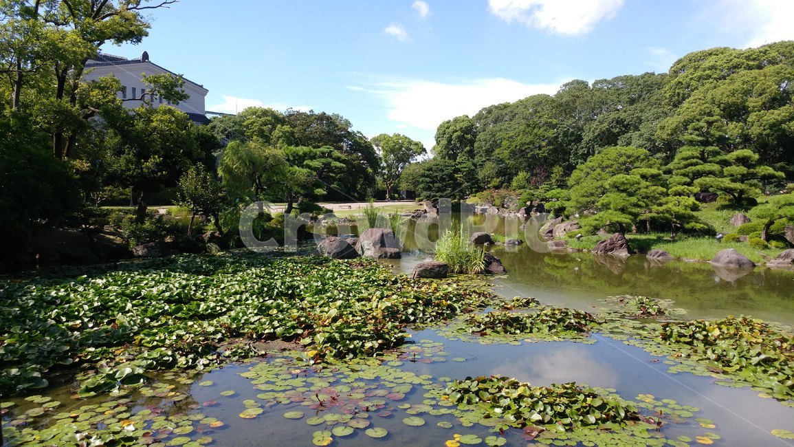 nature,자연,outdoors,옥외,water,물,land,일본,호수,하늘,경치,풍경