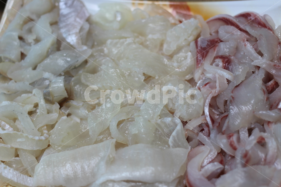 회,날생선,날고기,모듬회,광어회,잡어,음식,식재료,요리,food,cook,meal,dishes,food reserves,수산물,해산물,fishery products,seafood