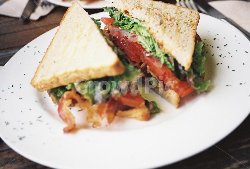 샌드위치,빵,식빵,음식,food,음식,식재료,요리,food,cook,meal,dishes,food reserves