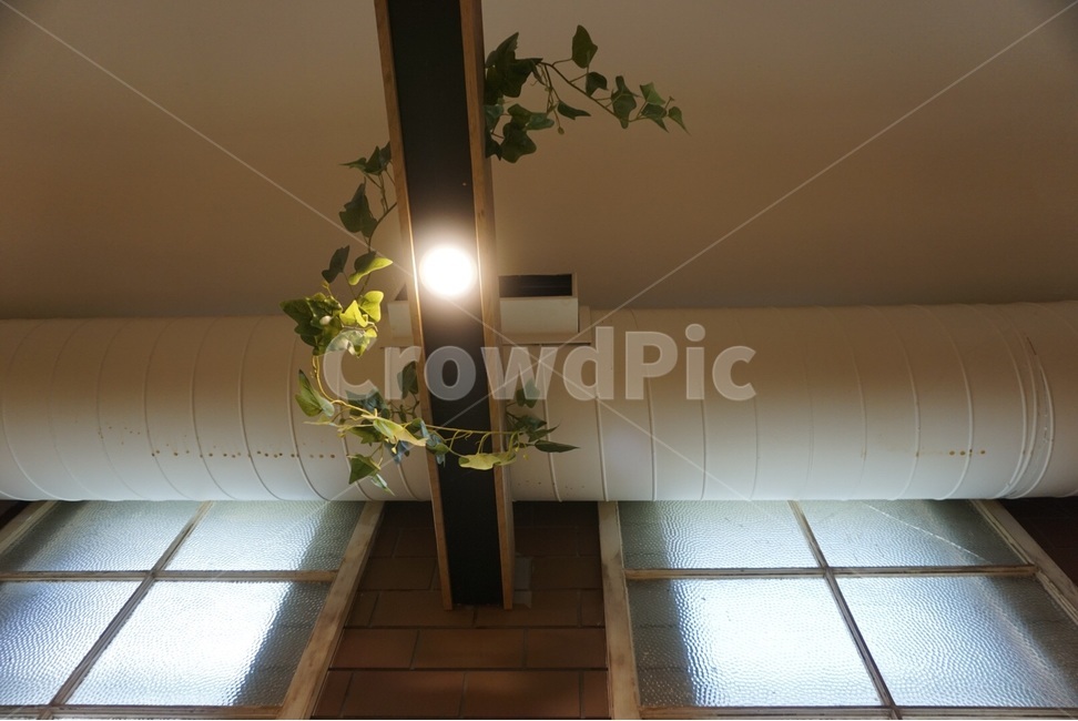 원본,조명,카페,커피,감성,original,light,cafe,coffee,emotion,식물,자연,plants,nature,실내용화초,화분,화초,house plant,인테리어,실내디자인,interior design