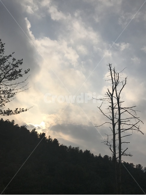 저녁풍경,해질녘,나무,노송,구름,하늘,감성,역광,풍경,SKY,CLOUD,흐린날씨,클라우드,먹구름,산,자연,자연,풍경,nature,landscape,outdoors,옥외,tree,plant,식물