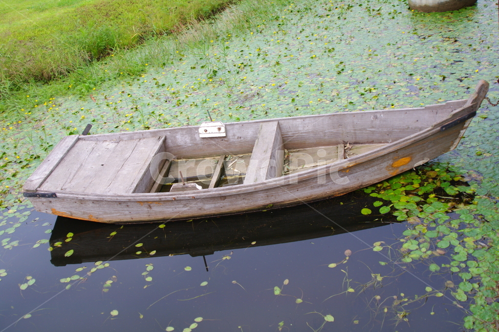 임진각,임진각평화누리공원,파주,한국,노젓는배,vehicle,차량,rowboat,교통,transportation,canoe,카누,boat,보트,나룻배,연못