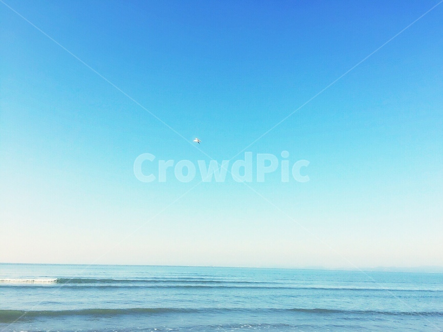 바다,하늘,새,파도,힐링,자연,풍경,nature,landscape,outdoors,옥외,scenery,panoramic,파노라마,경치