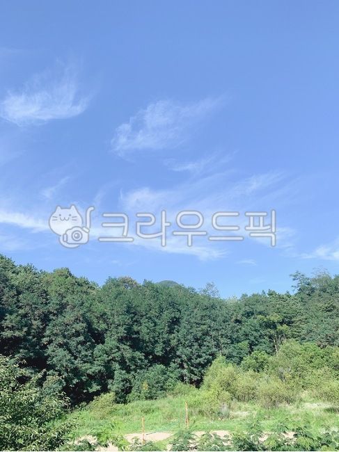 blue sky,mountain,sky view,plant,tree,vegetation,mountain view,sky sky