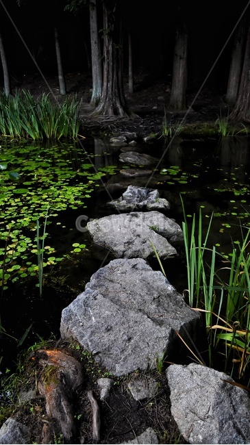 돌다리,숲,다리,stonebridge,bridge