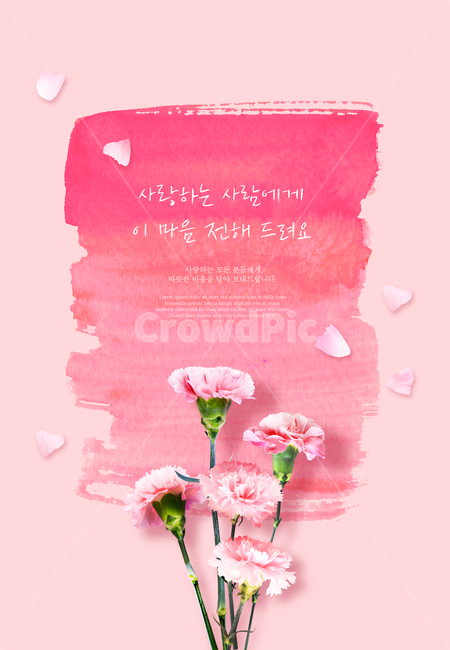 꽃,카네이션,꽃잎,프레임,봄꽃,꽃,flower,가족,패밀리,family,기념일,축하,anniversary,congratulation,celebrate,celebration,그래픽,일러스트레이션,graphic,illustration