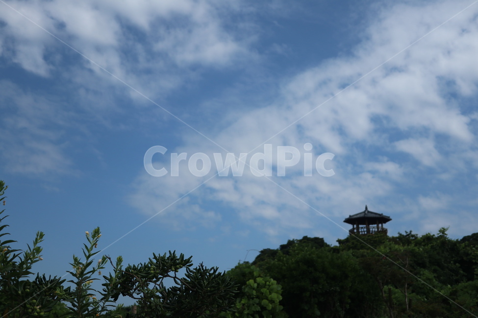 정자,구름,나무,화창,맑은하늘,자연,제주,제주도,jeju,자연,풍경,nature,landscape,outdoors,옥외
