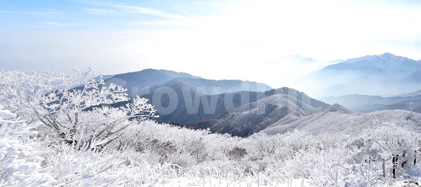 소백산,눈꽃풍경,상고대,겨울풍경,국립공원,겨울동화,눈풍경,파란하늘,100대명산,겨울명산,설경,서리꽃,영동,snow,landscape,자연,풍경,nature,landscape,겨울,계절,winter,season,outdoors,옥외,mountain range,산맥,mountain,산