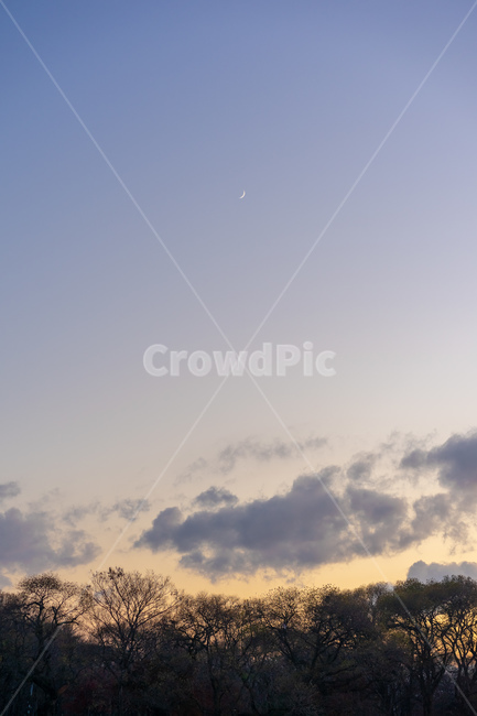 하늘,자연,nature,달,초승달,구름,moon,sky