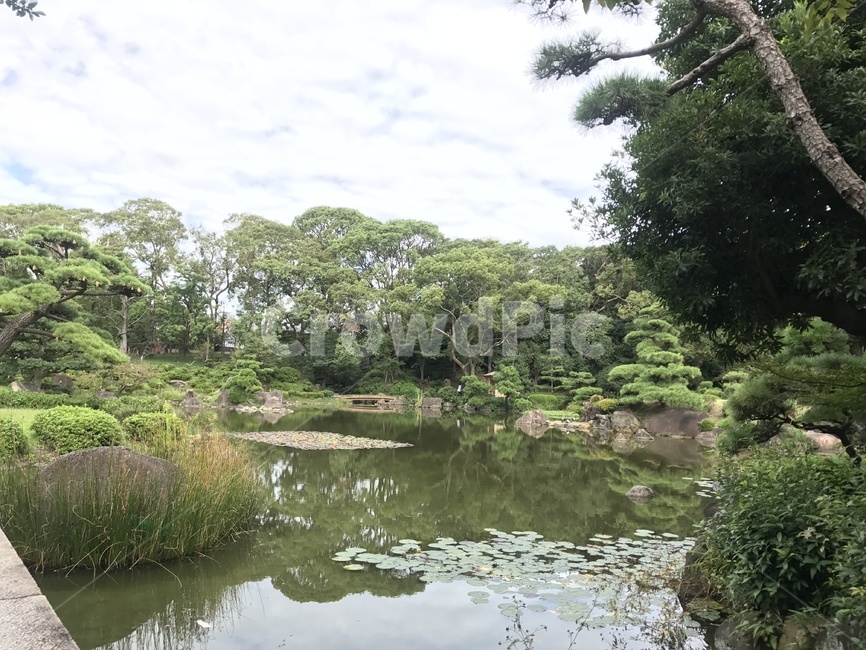 자연,공원,연못,가든,정원,동양,풍경,자연배경,산책,상쾌,자연,풍경,nature,landscape,land,땅,outdoors,옥외,water,물