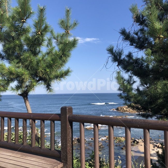바다,해변,자연,하늘,푸른,감성