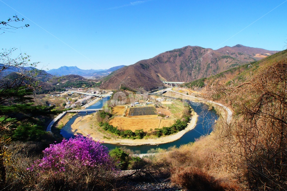 물돌이,영강,홍일점,진달래,봄,봄,계절,spring,season,자연,풍경,nature,landscape,scenery,outdoors,옥외,경치