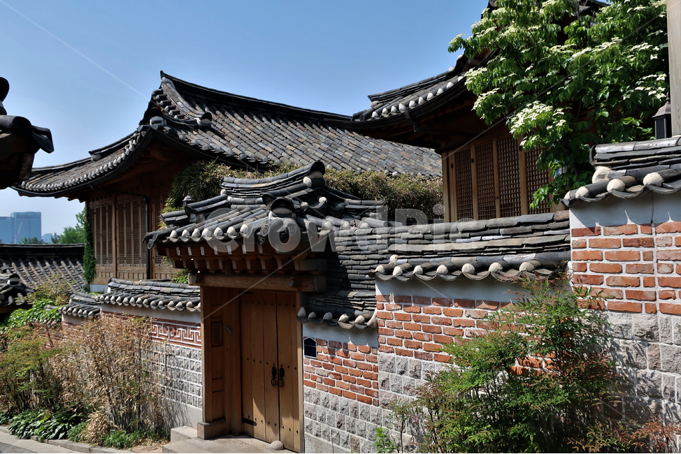 전통,빈티지,한옥,북촌,서울,집,디자인,창문,건축,건축물,스타일,주택,기와,지붕,처마,고풍,전통미,가옥,골목,화단,풍경,한국전통,한국문화,korean traditional,korean culture,건축물,건물외관,exterior,building,structure,architecture,construction