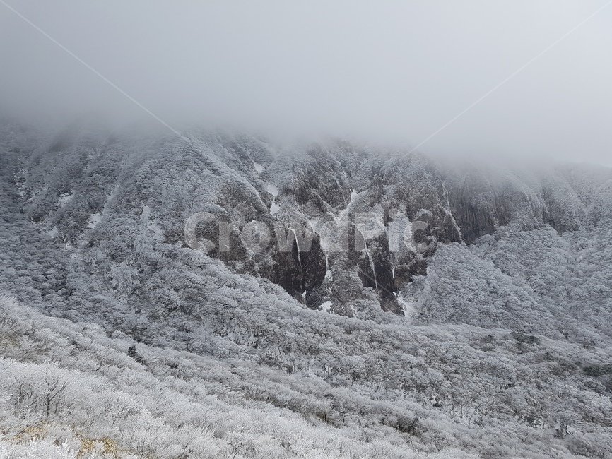 눈,눈꽃,설산,산행,정상,겨울,계절,winter,season,자연,풍경,nature,landscape,outdoors,옥외,snow,frost,서리,tree,나무,plant,식물