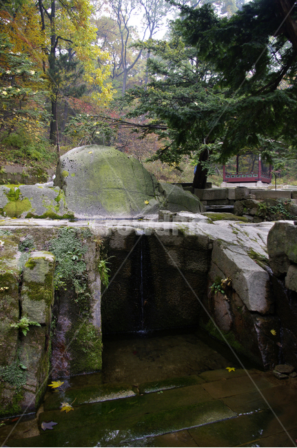 창덕궁후원,옥류천,소요암,식물,plant,자연,nature,바위,자연,풍경,nature,landscape,bunker,벙커,building,건물