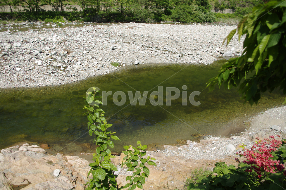 강,강물,풍경,바위,자갈,돌,자연,풍경,nature,landscape,water,물,outdoors,옥외