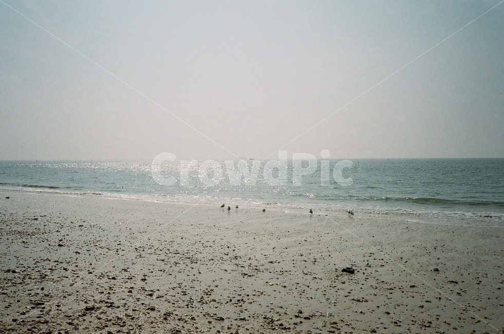 바다,해변,필름사진,필름,감성사진,해변,바다,beach,sea