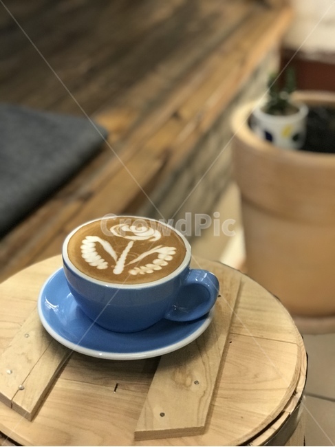 라떼아트,라떼아트꽃,라떼아트장미,장미,커피,카페라떼,커피아트,coffee,latteart,coffeeart,latteartrose,rose,cafelatte,음료수,drink,beverage,커피,카페,coffee,cafe