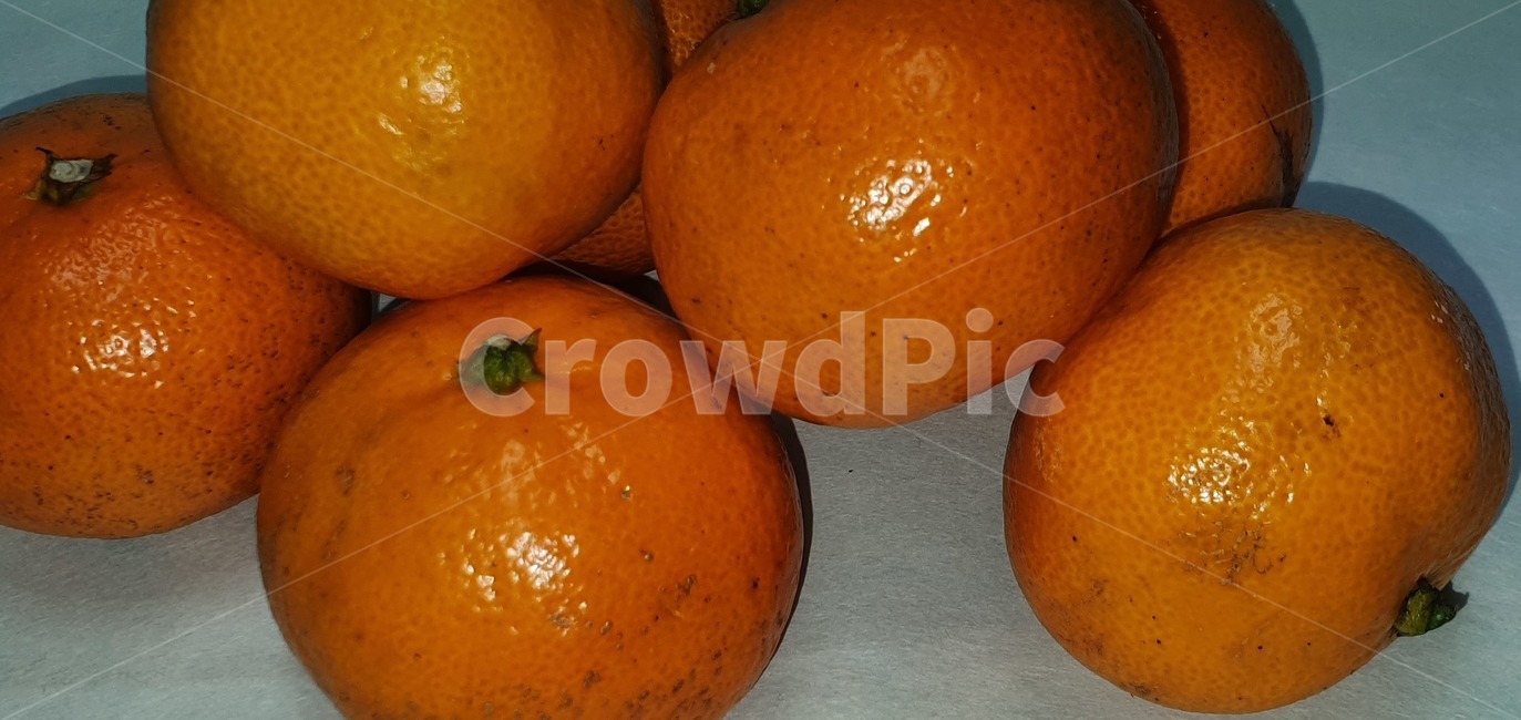 귤,감귤,제주귤,비타민,food,음식,citrusfruit,감귤류과일,plant,식물,fruit,과일,orange,주황색