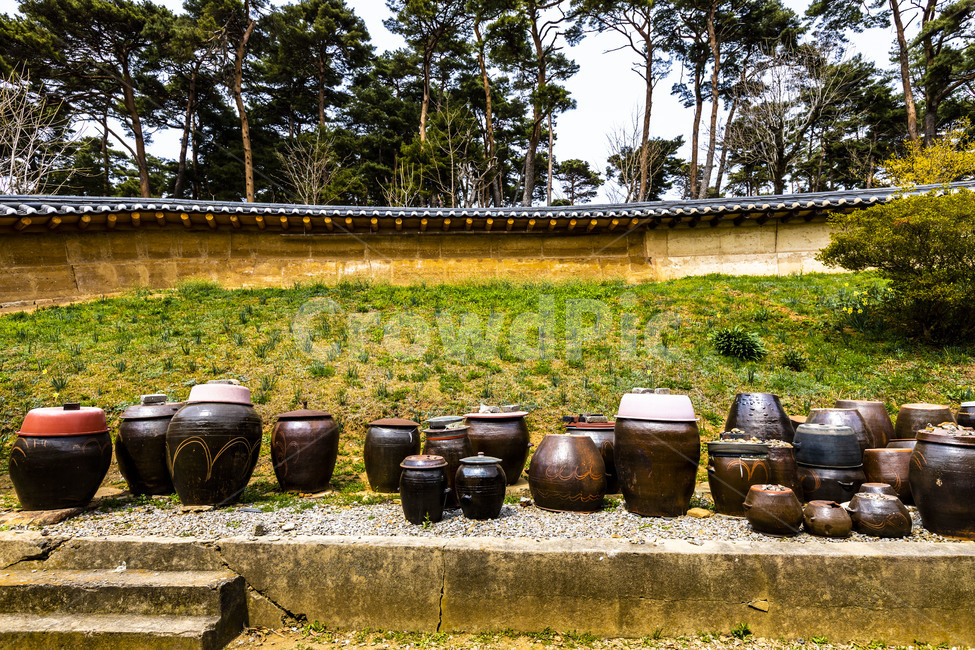 서산유기방가옥,문화재,관광지,장독,전통장독대,전통가옥,전통담장,항아리,명가,옹기,한국전통,한국문화,korean traditional,korean culture