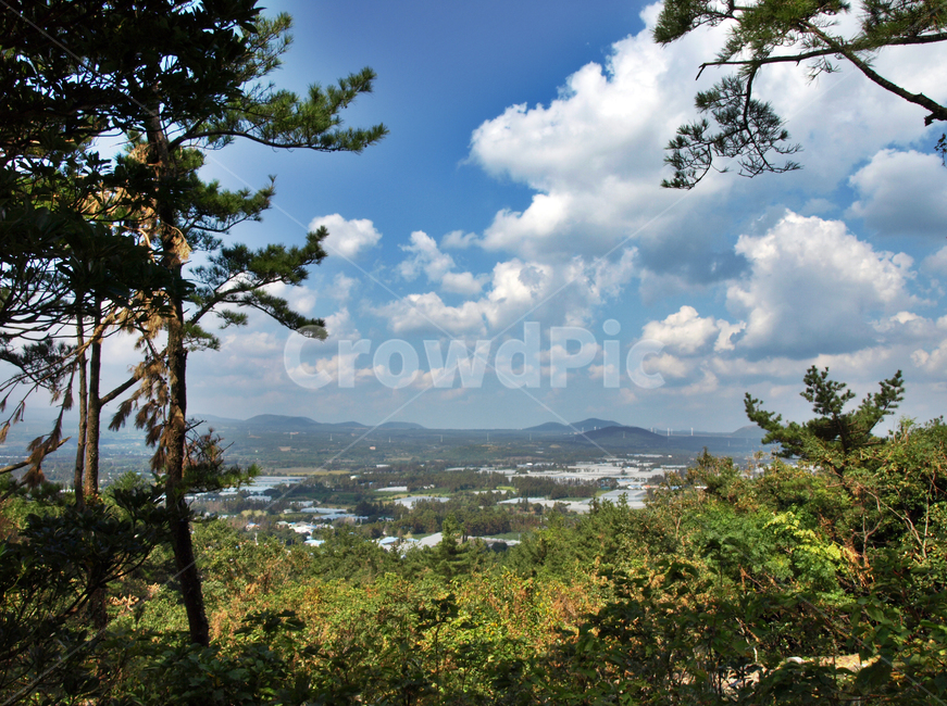 토산봉,망오름,오름,올레4코스,올레길,제주,서귀포시,마을,푸른하늘,흰구름,자연,풍경,nature,landscape,제주도,jeju,jeju island,tree,나무,plant,식물,outdoors,옥외