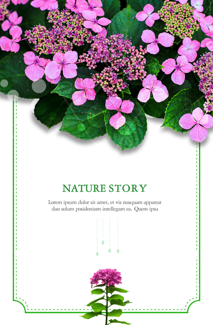 꽃,수국,여름,감성,엽서,표지,전단지,브로슈어,프레임,식물,자연,plants,nature,꽃,flower,그래픽,일러스트레이션,graphic,illustration