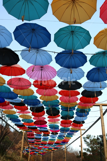 우산,비,그늘막,우산들,지붕우산,우산축제,하늘,허브아일랜드