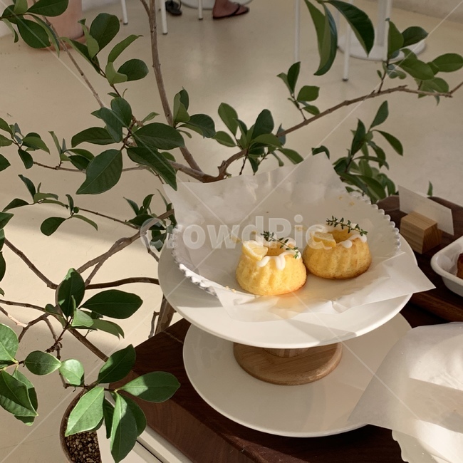 cafe,카페,빵,파이,디저트,식물,인테리어,카페인테리어,디자인,베이커리,달콤한,sweet,dessert,bakery,bread,pie,plant,green,초록색,감성,interior,design,디저트,간식,후식,dessert,snack