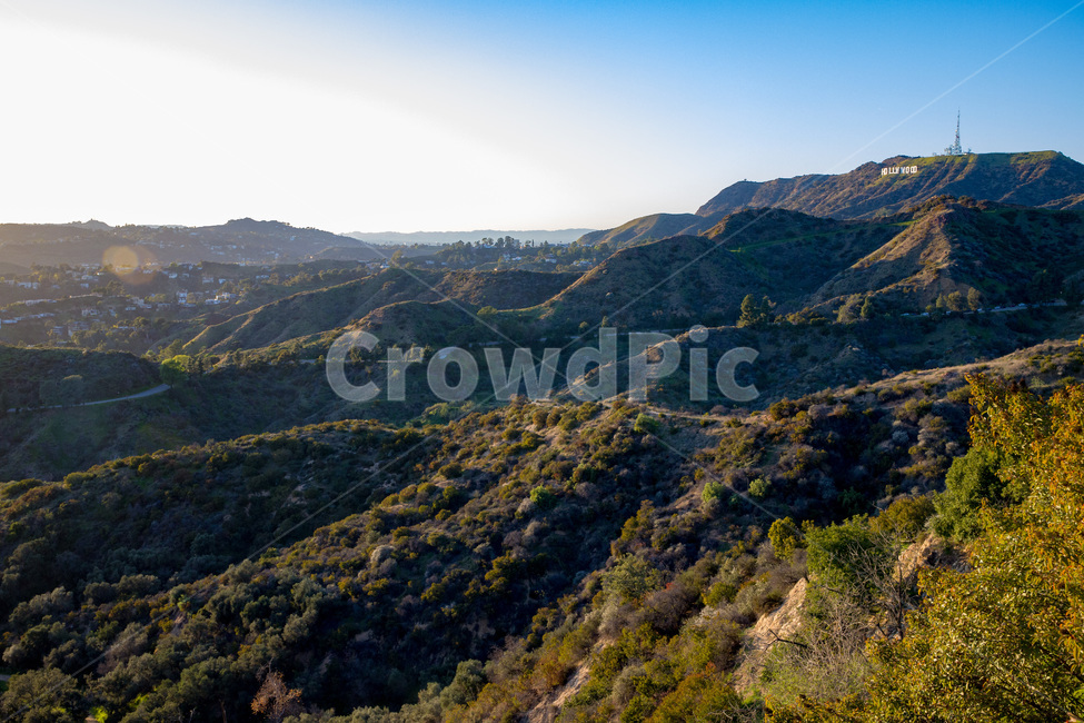 america,angeles,background,california,city,entertainment,famous,film,fortune,hills,hollywood,hollywoodsign,icon,landmark,letters,los,losangeles,movie,movies,sign,symbol,tourism,usa,view,자연,산,산맥,언덕,미국,로스앤젤레스,헐리우드사인
