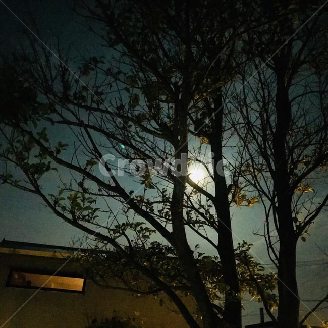 제주도,여름,jejudo,summer,달,moon,제주도밤,달빛,moonlight
