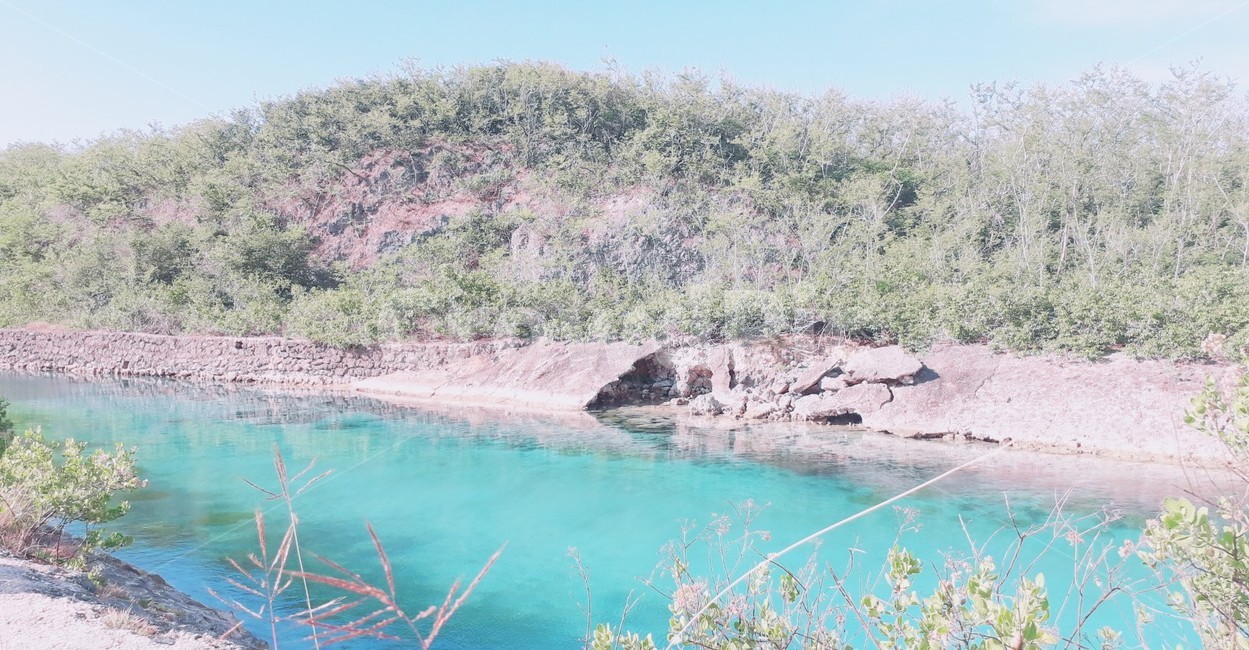 바다,산,숲,나무,자연,하늘