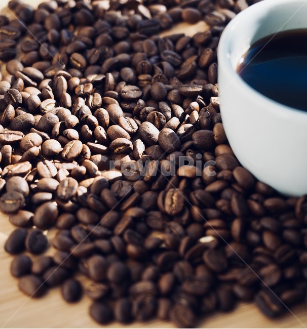 커피원두,원두,커피콩,로스팅원두,로스팅,커피,아메리카노,배경,음료,coffeebeans,coffeebean,roastingbeans,roasting,coffee,americano,background,beverage,커피,카페,coffee,cafe
