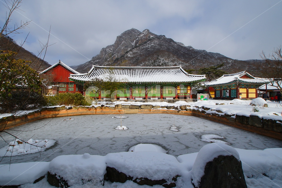 백양사,설경,사찰,백학봉,풍경,겨울,계절,winter,season,한국전통,한국문화,korean traditional,korean culture