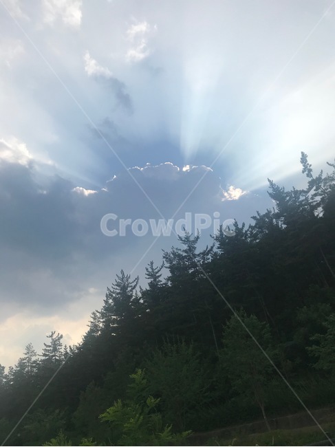하늘,구름,나무,자연,풍경,녹색,숲,nature,tree,sky