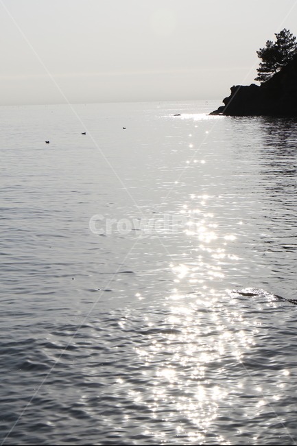 바다,sea,반짝,눈부심,star,자연,풍경,nature,landscape,promontory,곶,outdoors,옥외