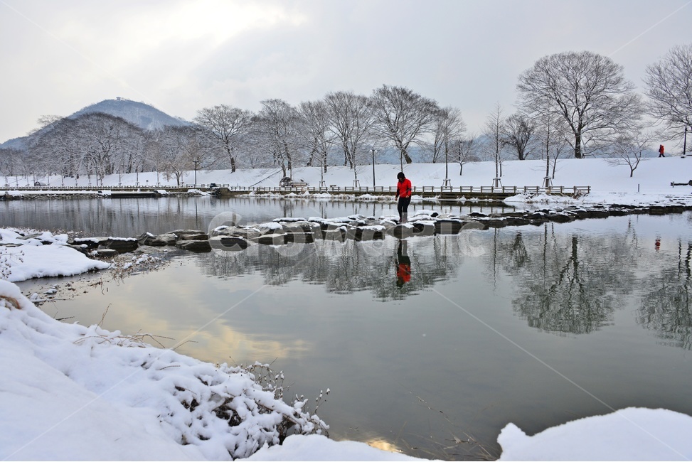 담양,관방천,관방제림,관방천설경,관방제림설경,설경,반영,겨울,계절,징검다리,person,사람,human,인간,water,물,nature,자연,outdoors,옥외