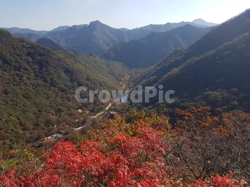 단풍,산,호수,계곡,풍경,정자,능선,가을,가을산