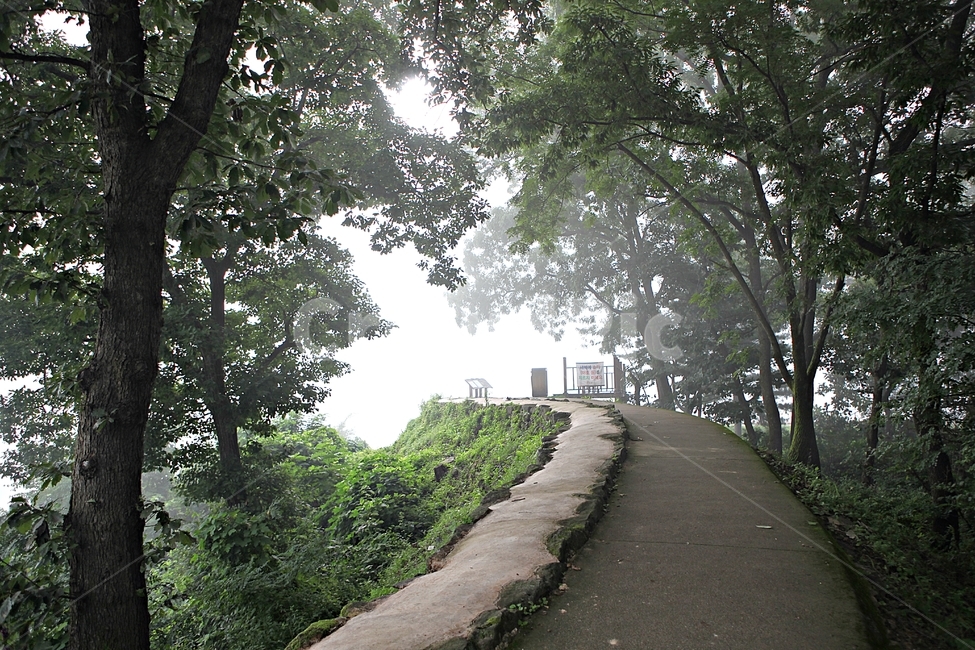 공주산성,산성,성,성곽,길,둘레길,숲,숲길,안개,돌담,여름,풍경,벽,방어벽,흙담,나무,식물,유네스코